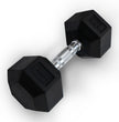 Anatomy Hex rubber coated dumbbell