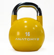 Anatomy Competition Kettlebell