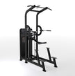 Force USA SOLITUDE Assisted Chin-Up / Dip Dual Function