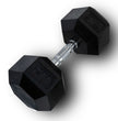 Anatomy Hex rubber coated dumbbell