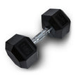 Anatomy Hex rubber coated dumbbell