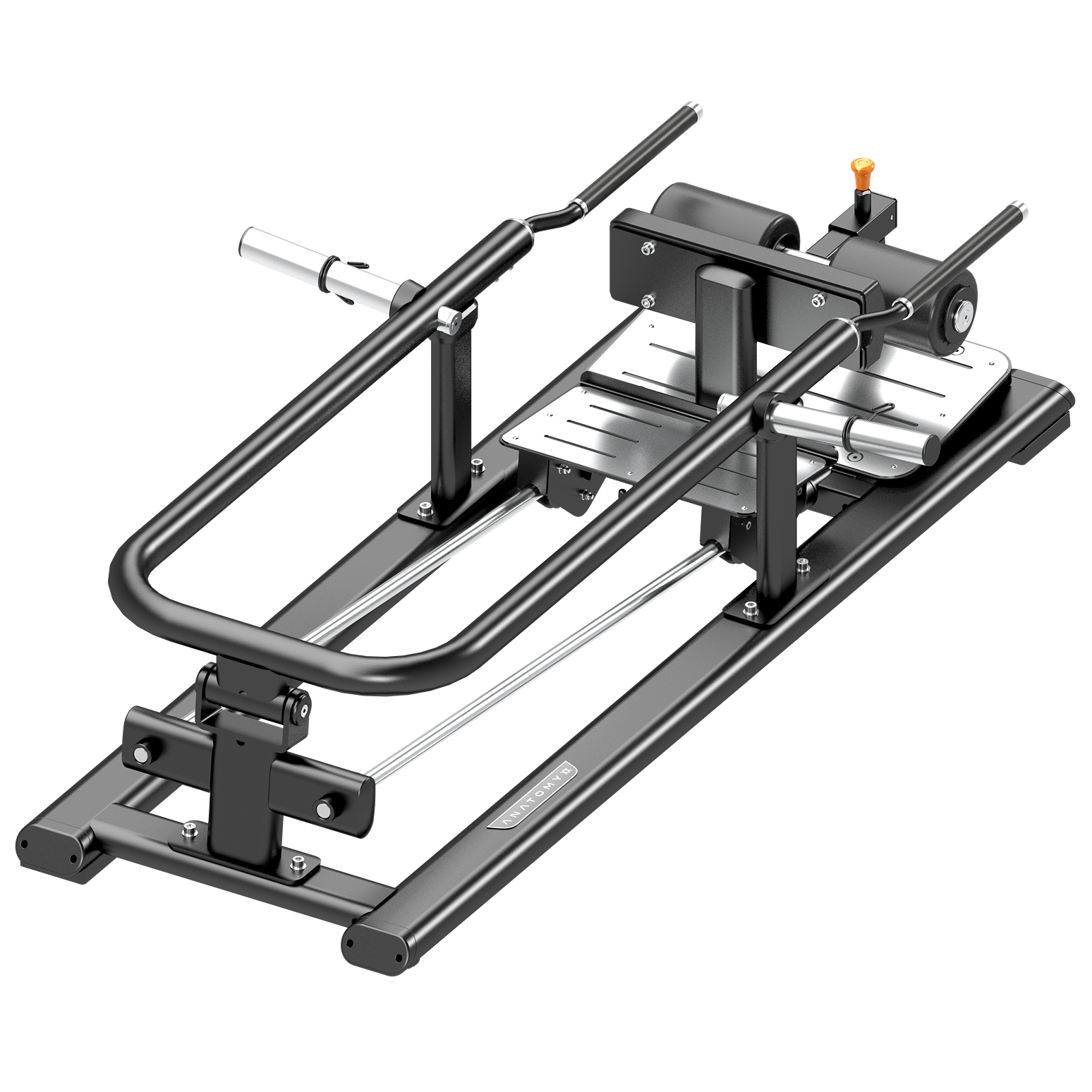 Anatomy Plate Loaded Split Squat