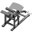 Anatomy Plate Loaded Hip Thruster