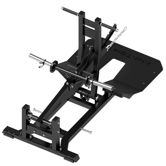 Anatomy PlateLoaded Belt Squat