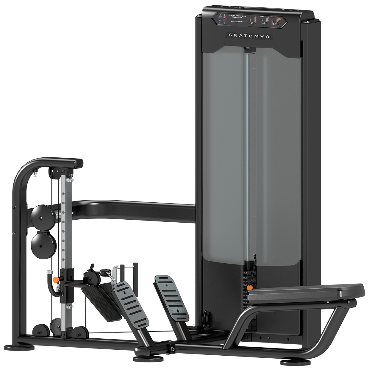 Anatomy Seated Cable Row