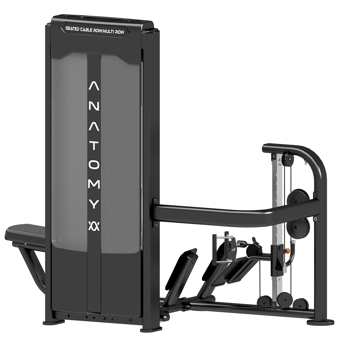 Anatomy Seated Cable Row