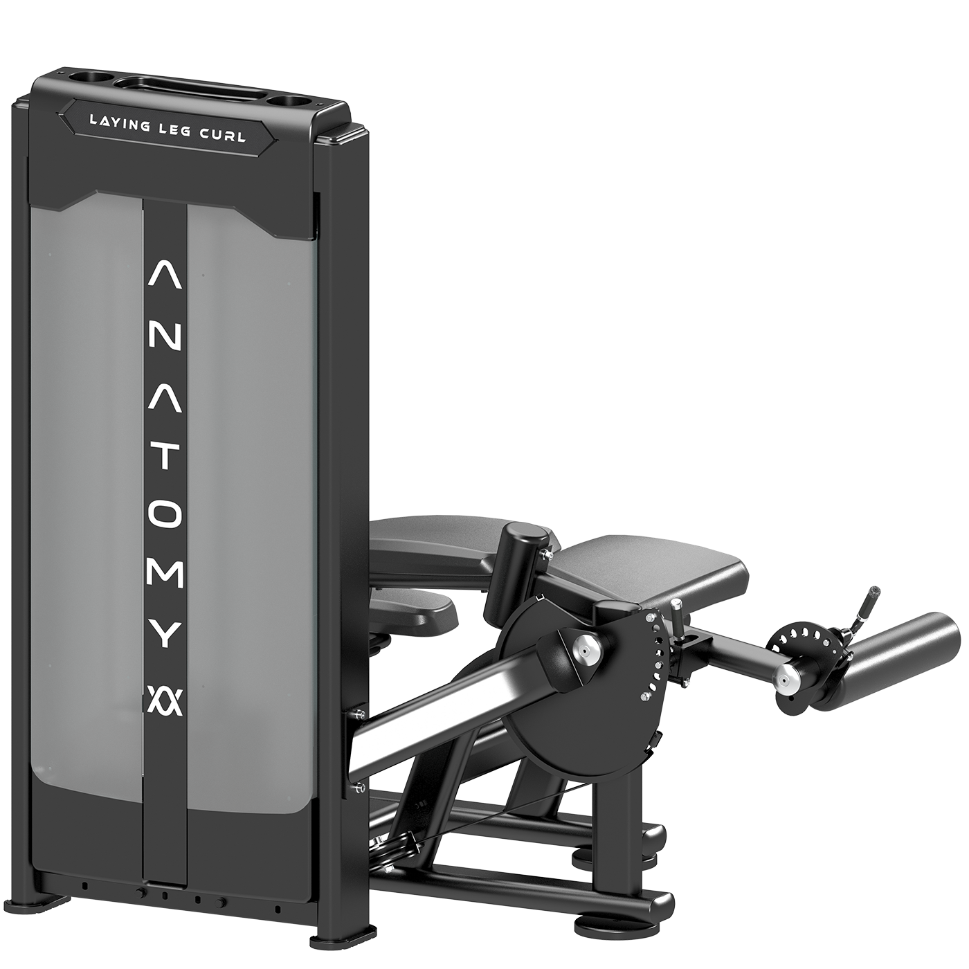 Anatomy Pin Loaded Lying Leg Curl