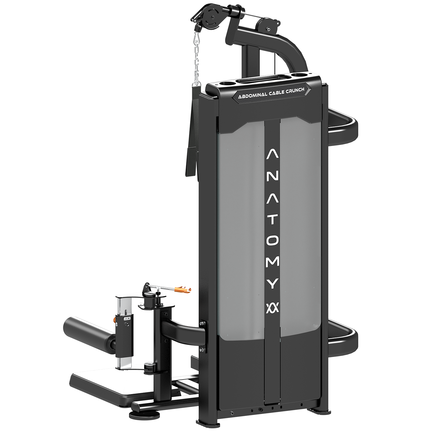 Anatomy Standing Abdominal crunch